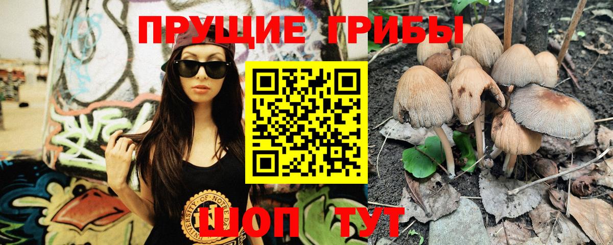 Галлюциногенные грибы Magic Shrooms  Вход с VPN  Галлюциногенные грибы Cubensis  Красноперекопск 